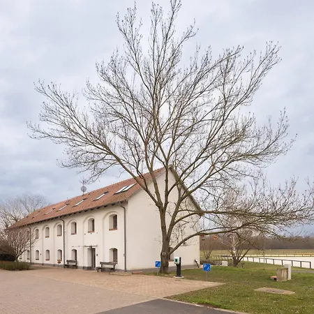 Vadkert Major Hotel
