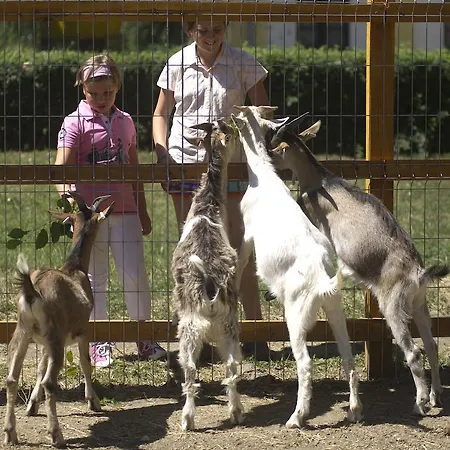 Vadkert Major Sárvár